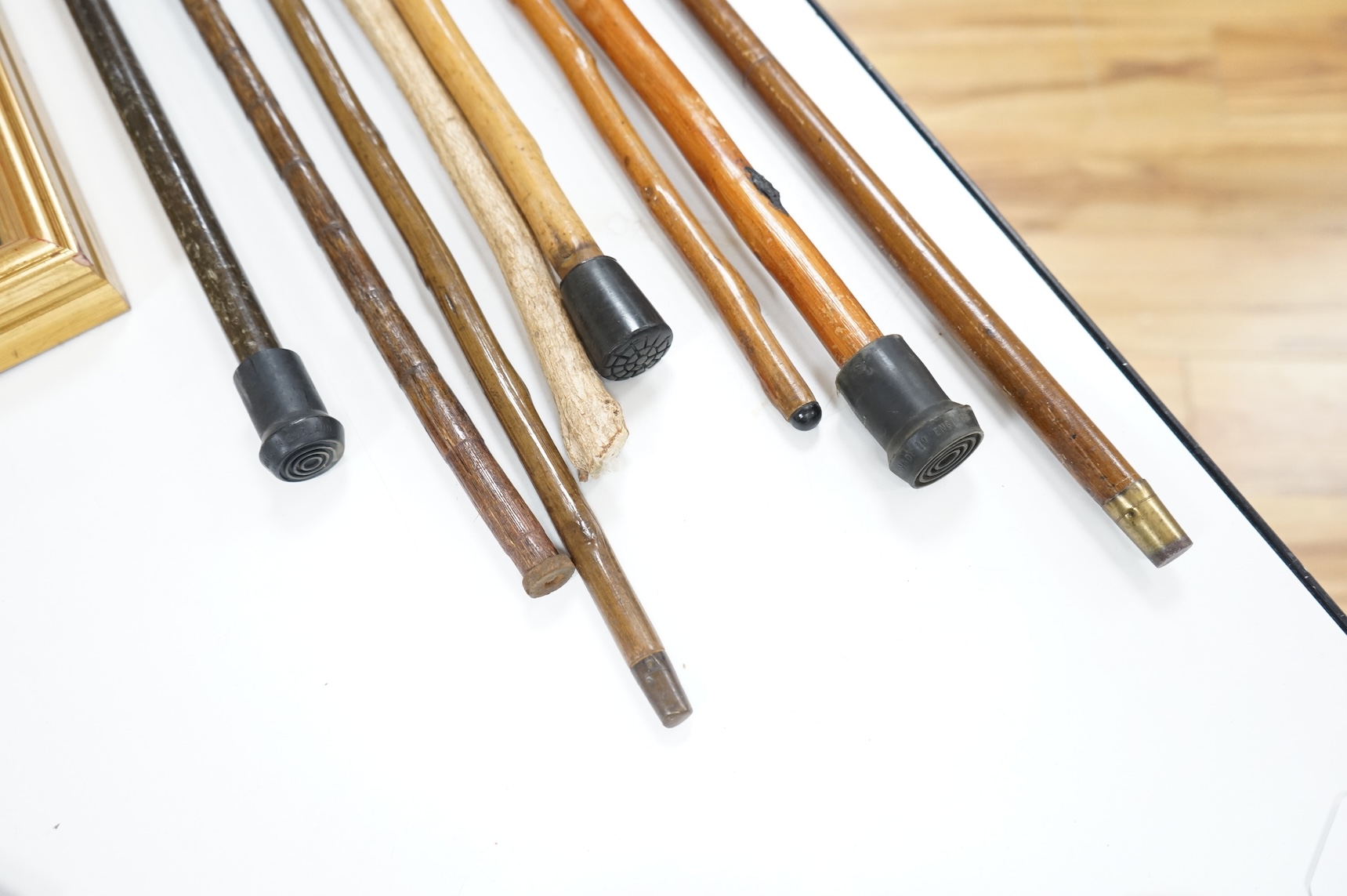 A collection of eight mostly moulded resin mounted walking canes to include one in the form of a lizard, largest 93cm in length